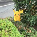 ピカチュウに逃げられた(>_<)