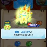 ぷにコマのふろしき お宝集め