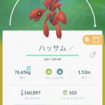 ポケモンを調べてもらう